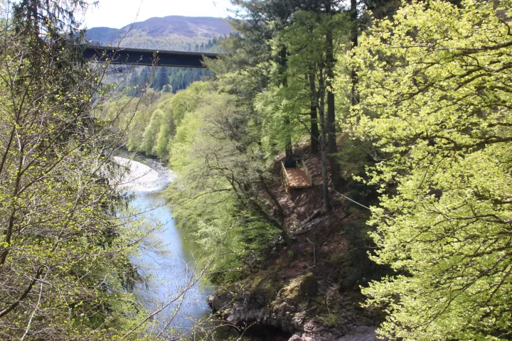 a train traveling down train tracks near a forest
